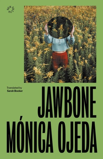 Jawbone Cinder House