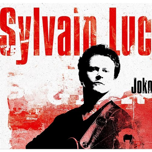 Joko Sylvain Luc