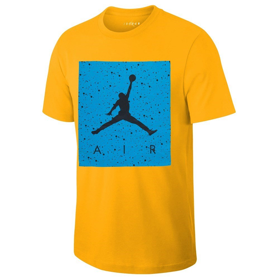 Jordan Poolside Tee Nike