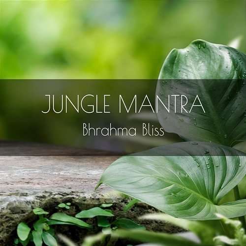 Jungle Brahma Bliss