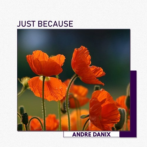 Just because Andre Danix