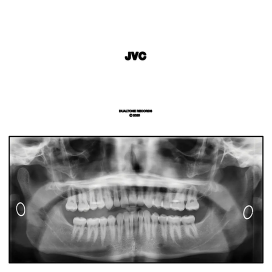 Jvc Van Cleaf Jack
