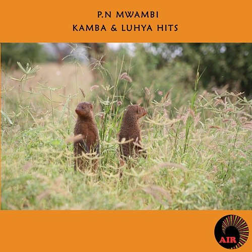 Kamba & Luhya Hits P.N Mwambi