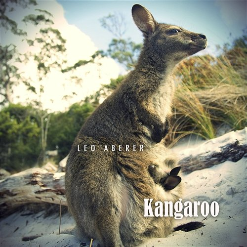 Kangaroo Leo Aberer