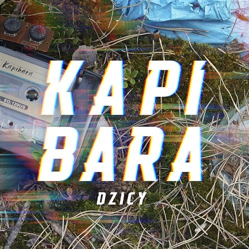 Kapibara Dzicy