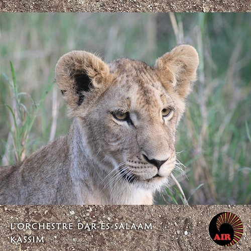 Kassim L'orchestre Dar-Es-Salaam