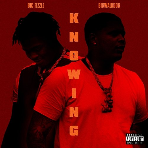 Knowing BiC Fizzle feat. BigWalkDog