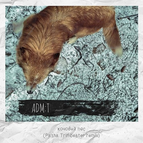 Кочовий пес adm:t