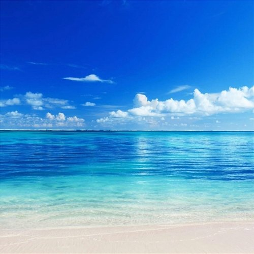 Kodak Jay Ocean