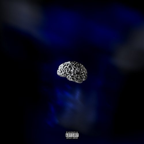 Kognitiv Dissonans Amara