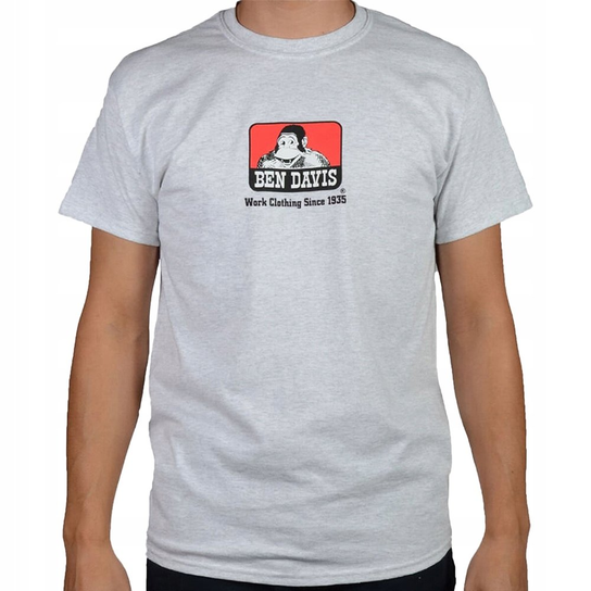 Koszulka Ben Davis Classic Logo inna (Inny)