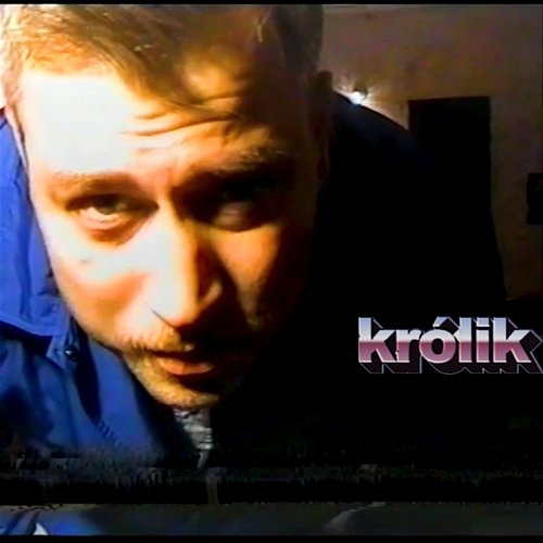 Królik Sedguy