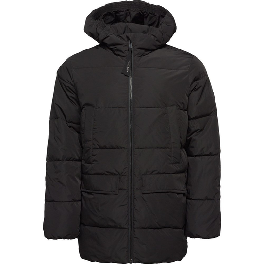 Kurtki Loap Tambor CLM2440V21V LOAP