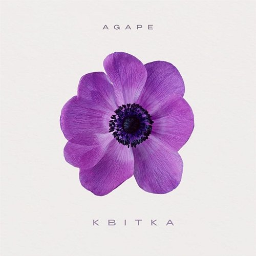 Квітка Agape