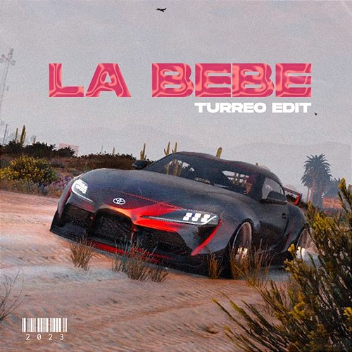 La Bebe Ganzer DJ