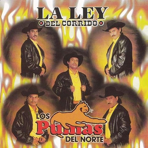 La Ley del Corrido Los Pumas Del Norte