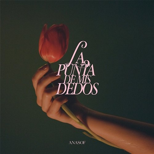 LA PUNTA DE MIS DEDOS ANASOF