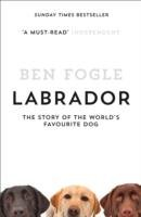 Labrador Fogle Ben