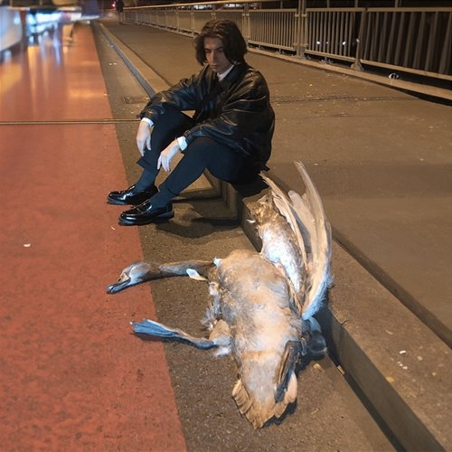 Labutě Yeezuz2020, mdmx