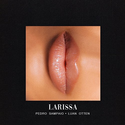 LARISSA Pedro Sampaio, Luan Otten