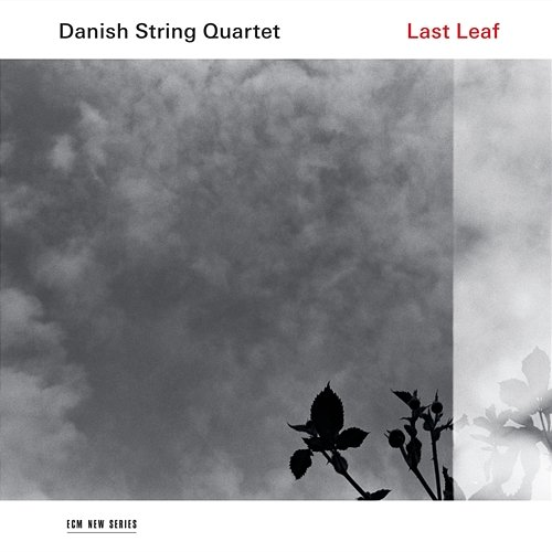 Last Leaf Danish String Quartet