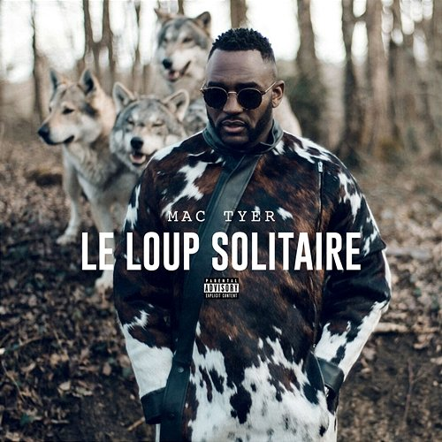 Le loup solitaire Mac Tyer