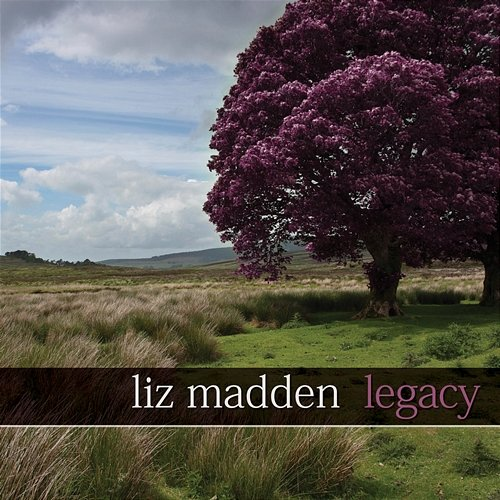 Legacy Liz Madden, Fionán de Barra