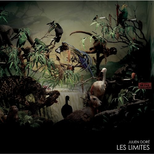 Les limites Julien Doré