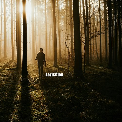 Levitation Olive