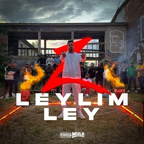 LEYLIM LEY Z