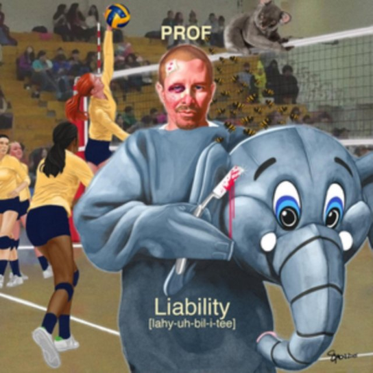 Liability Prof