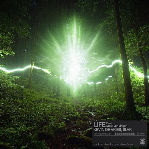 Life Kevin De Vries, SLVR, Stella von Lingen