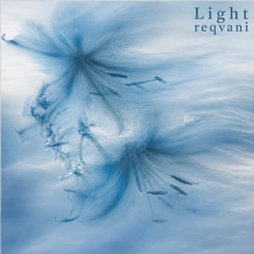 Light Reqvani, Carmen.