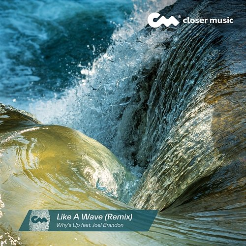 Like a Wave Why's Up, Joel Brandon
