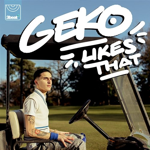 Likes That GEKO