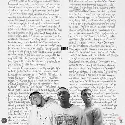 Lingo Jevon feat. Kida Kudz, Diggy