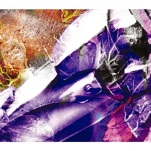 Link L'Arc-en-Ciel