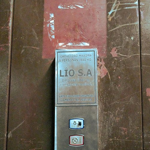 LÍO Eruca Sativa
