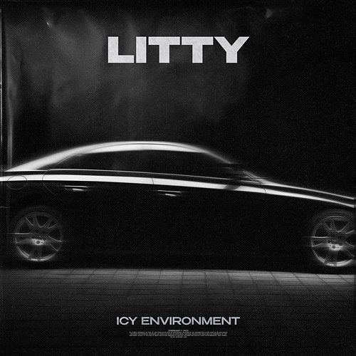 Litty Carmon