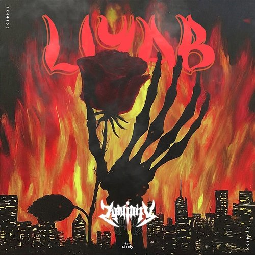 Liyab Zynfinity, drmfy