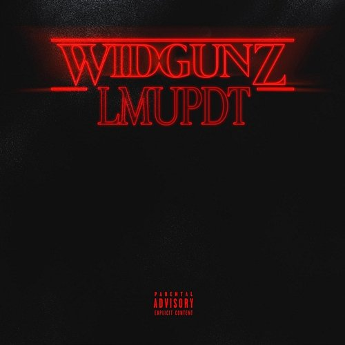 LMUPDT Widgunz