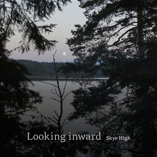 Looking inward Skye High