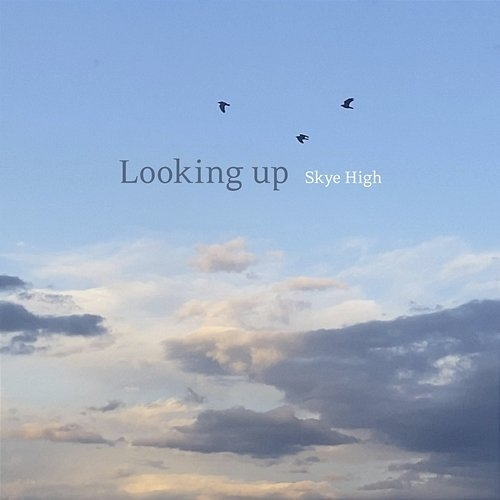 Looking up Skye High