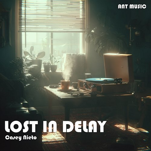 Lost in Delay Casey Nieto
