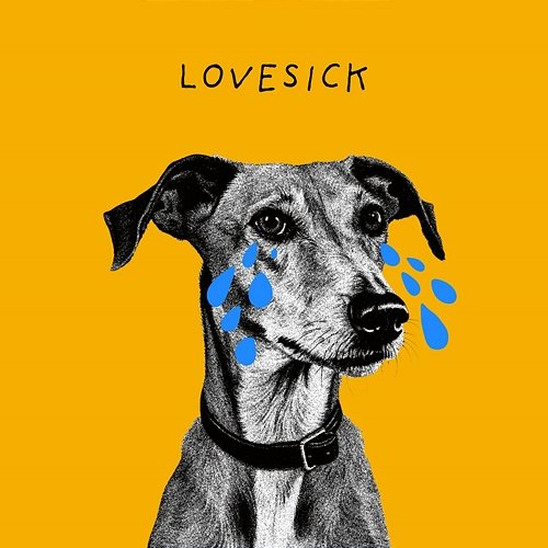 Lovesick Gavin James