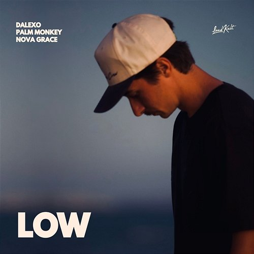 LOW DALEXO, Palm Monkey, Nova Grace