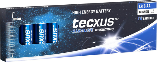 LR6/AA (Mignon) TECXUS