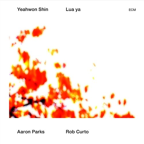 Lua Ya Yeahwon Shin, Aaron Parks, Rob Curto