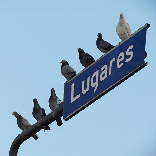 Lugares Nizz