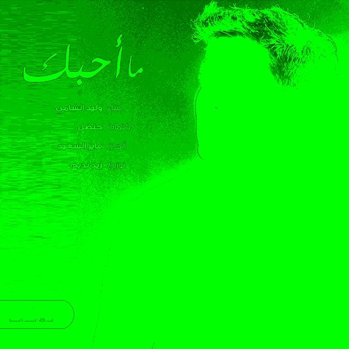 Ma Ahebik Waleed Al Shami